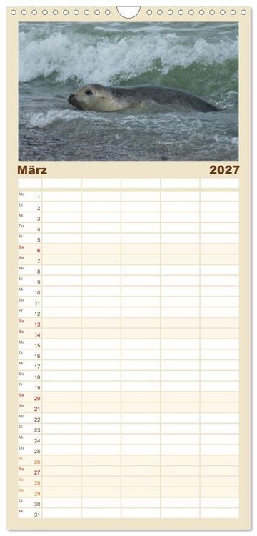 Produktbild: Familienplaner 2027 - Das Leben der Robben mit 5 Spalten (Wandkalender, 21 x 45 cm) CALVENDO