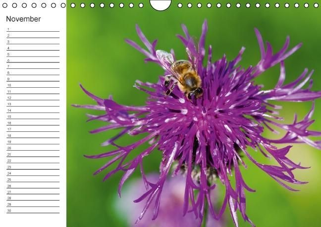 Produktbild: Ich denk an Dich ... Pers&ouml;nlicher Terminkalender (Wandkalender immerw&auml;hrend DIN A4 quer)