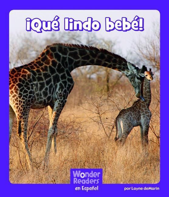 Produktbild: &iexcl;Qu&eacute; Lindo Beb&eacute;! (Oh Baby!)