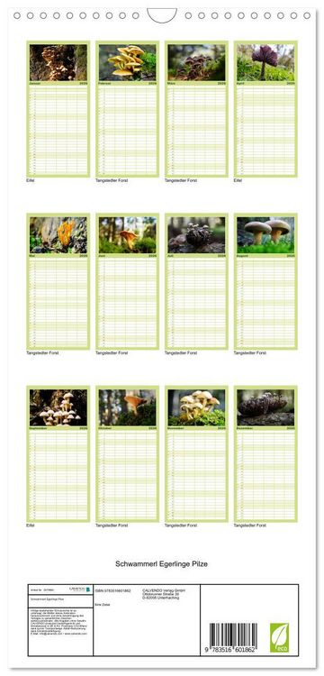 Produktbild: Familienplaner 2026 - Schwammerl Egerlinge Pilze mit 5 Spalten (Wandkalender, 21 x 45 cm) CALVENDO