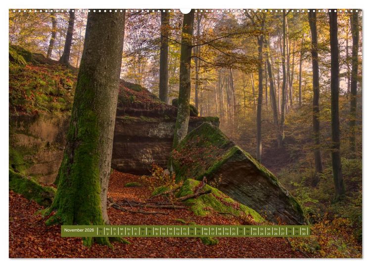 Produktbild: Magischer Pf&auml;lzer Wald (Wandkalender 2026 DIN A2 quer), CALVENDO Monatskalender
