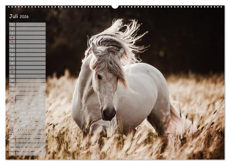Produktbild: Pferde - Spiegel deiner Seele (hochwertiger Premium Wandkalender 2026 DIN A2 quer), Kunstdruck in Hochglanz
