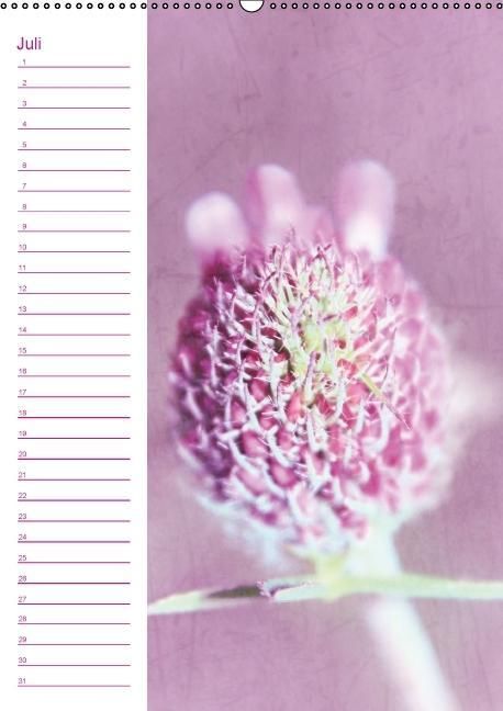Produktbild: Bl&uuml;tentr&auml;ume Geburtstagskalender (Wandkalender immerw&auml;hrend DIN A2 hoch)