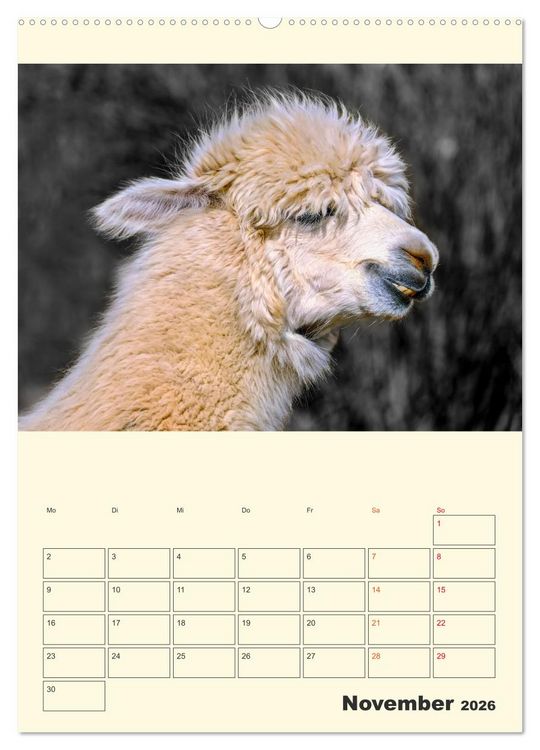 Produktbild: Putzige Alpakas (hochwertiger Premium Wandkalender 2026 DIN A2 hoch), Kunstdruck in Hochglanz