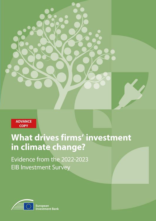 Produktbild: What drives firms' investment in climate action?