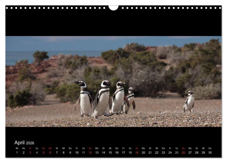 Produktbild: Patagonien - Ungez&auml;hmtes Land (Wandkalender 2026 DIN A3 quer), CALVENDO Monatskalender