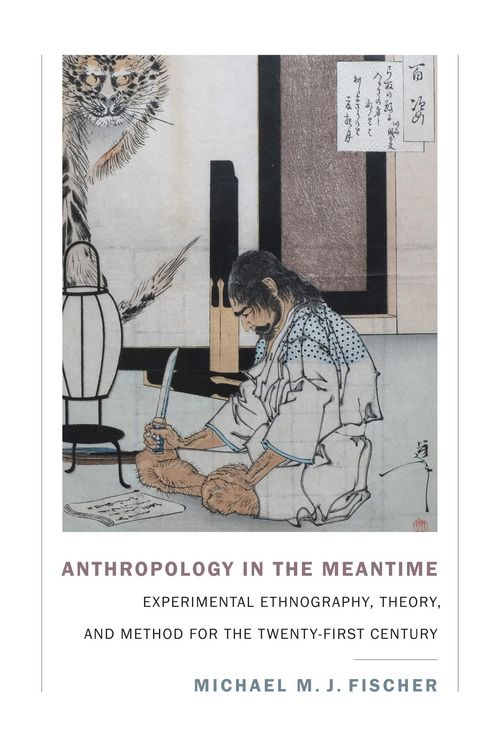 Produktbild: Anthropology in the Meantime