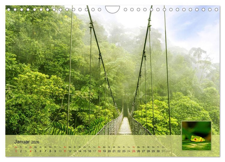 Produktbild: Costa Rica Dreams Tropische Naturwunder (Wandkalender 2026 DIN A4 quer), CALVENDO Monatskalender
