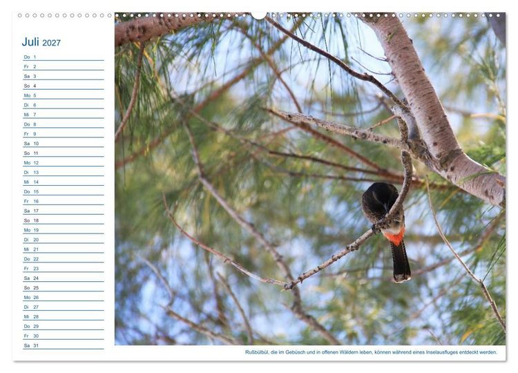 Produktbild: S&uuml;dsee-Insel Mo'orea (hochwertiger Premium Wandkalender 2027 DIN A2 quer), Kunstdruck in Hochglanz