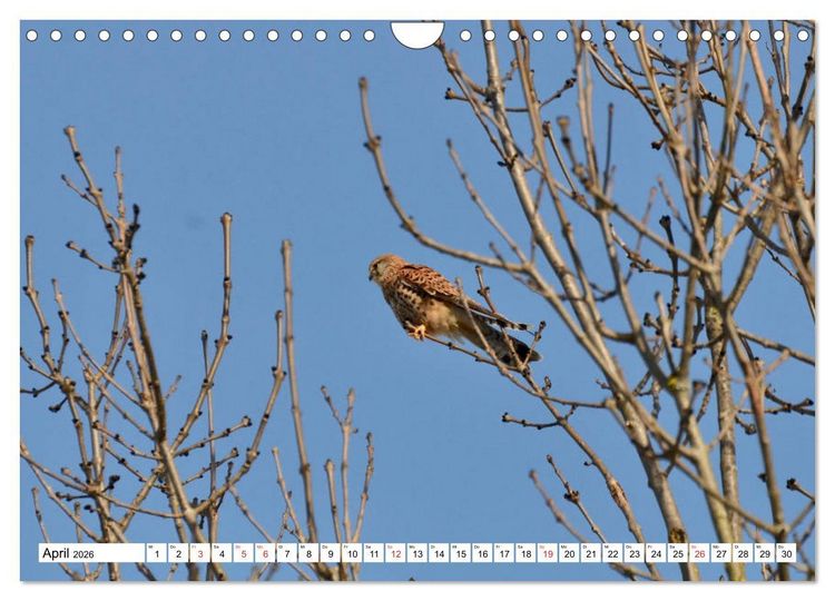 Produktbild: Zauberhaftes Mangfalltal (Wandkalender 2026 DIN A4 quer), CALVENDO Monatskalender