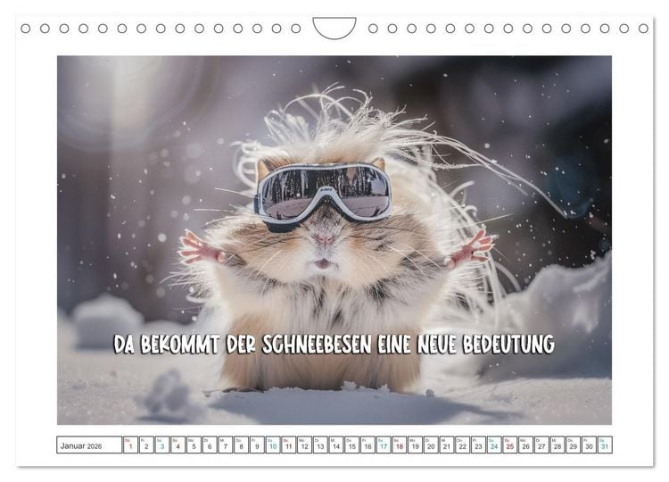 Produktbild: Humorvoll durch das Jahr (Wandkalender 2026 DIN A4 quer), CALVENDO Monatskalender