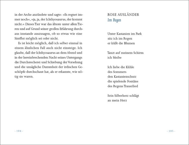 Produktbild: &raquo;Ein kleiner Regen macht nicht nass&laquo;