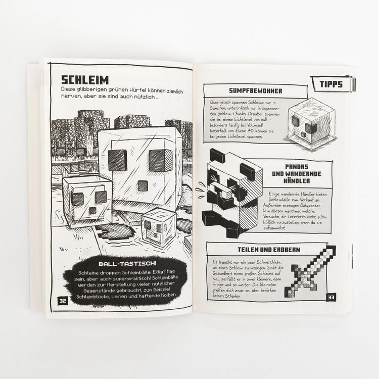Minecraft Tipps, Tricks & Hacks. Über 200 Game Changer für schnellen Erfolg