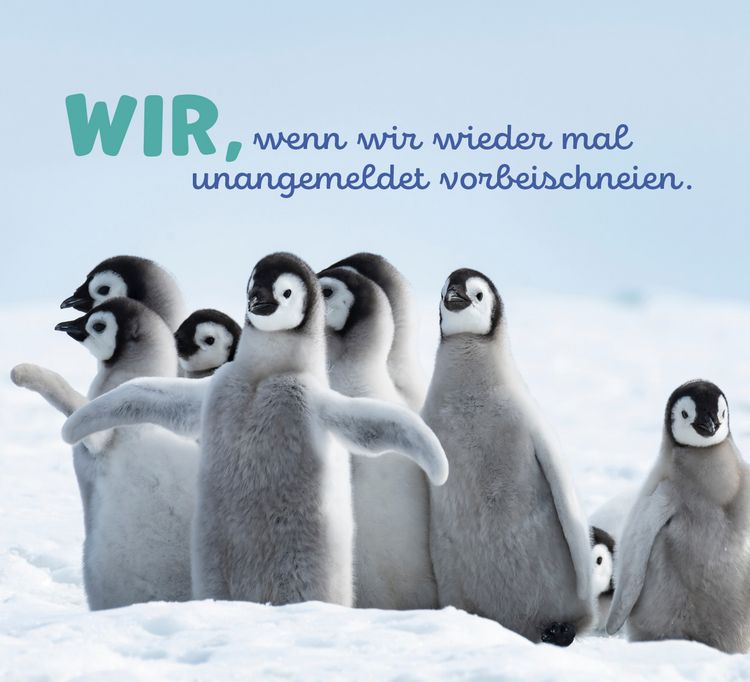 Produktbild: Tierisch happy jeden Tag