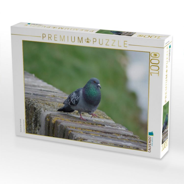 Produktbild: CALVENDO Puzzle Taube auf dem Catwalk | 1000 Teile Lege-Gr&ouml;&szlig;e 64x48cm Foto-Puzzle f&uuml;r gl&uuml;ckliche Stunden
