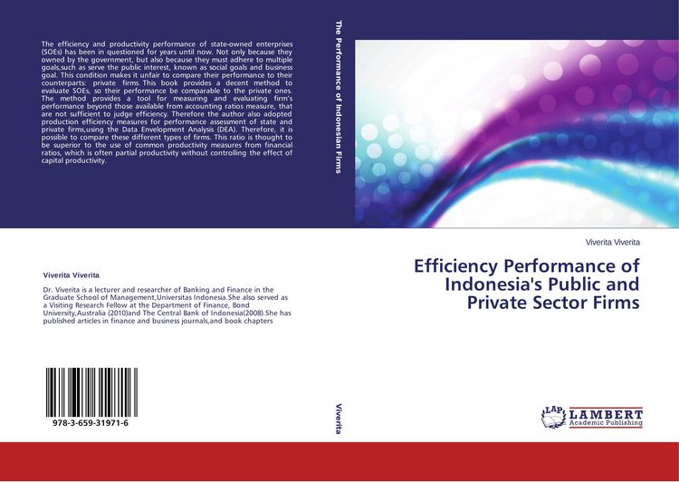 Produktbild: Efficiency Performance of Indonesia's Public and Private Sector Firms