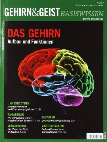 Produktbild: Gehirn / Aufbau und Funktionen
