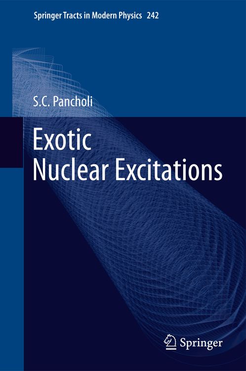 Bild vom Artikel Exotic Nuclear Excitations vom Autor S.C. Pancholi