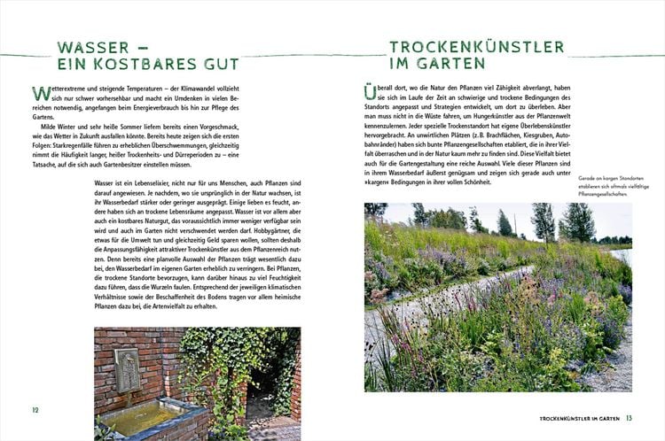 Produktbild: Die sch&ouml;nsten Pflanzen, die wenig Wasser brauchen f&uuml;r Garten, Balkon und Terrasse