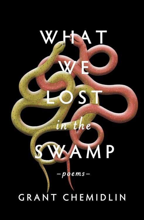 Produktbild: What We Lost in the Swamp