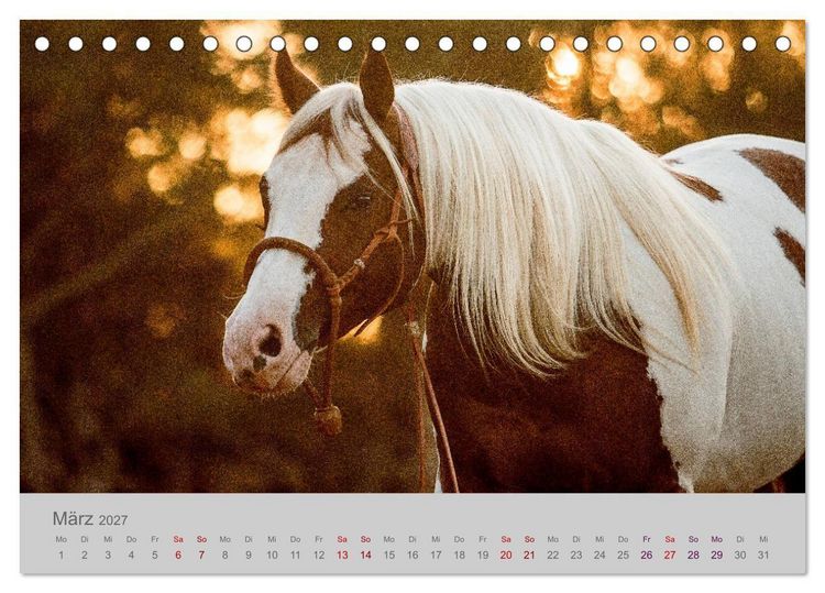Produktbild: Pferde - Anmut, Eleganz, Magie (Tischkalender 2027 DIN A5 quer), CALVENDO Monatskalender