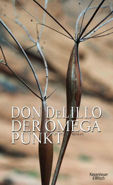 Produktbild: Der Omega-Punkt