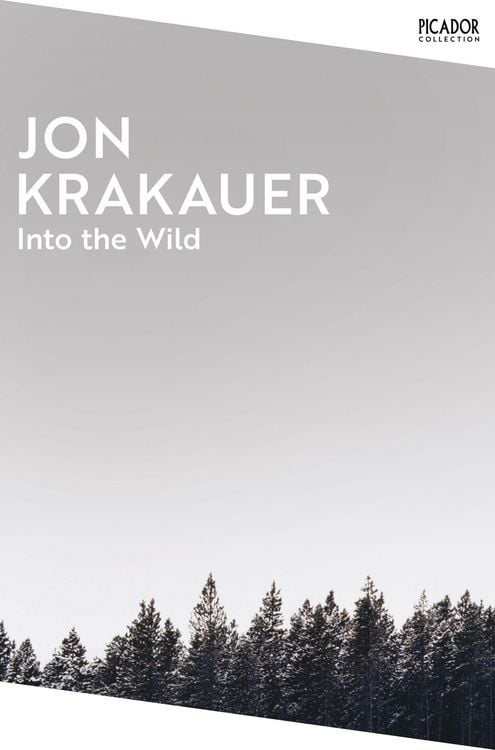 Produktbild: Into the Wild