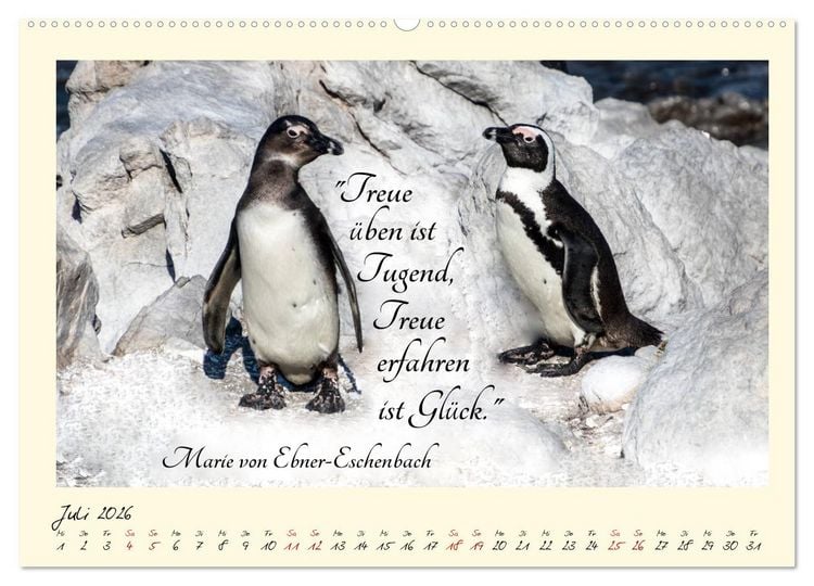 Produktbild: Gl&uuml;cksmomente Gl&uuml;cks-Zitate zu Fotos der gro&szlig;artigen s&uuml;dafrikanischen Tierwelt (Wandkalender 2026 DIN A2 quer), CALVENDO Monatskalender