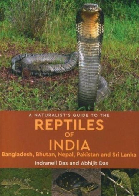 Produktbild: A Naturalist's Guide To The Reptiles Of India