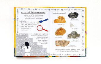 Produktbild: Hallo Fossilien & Muscheln