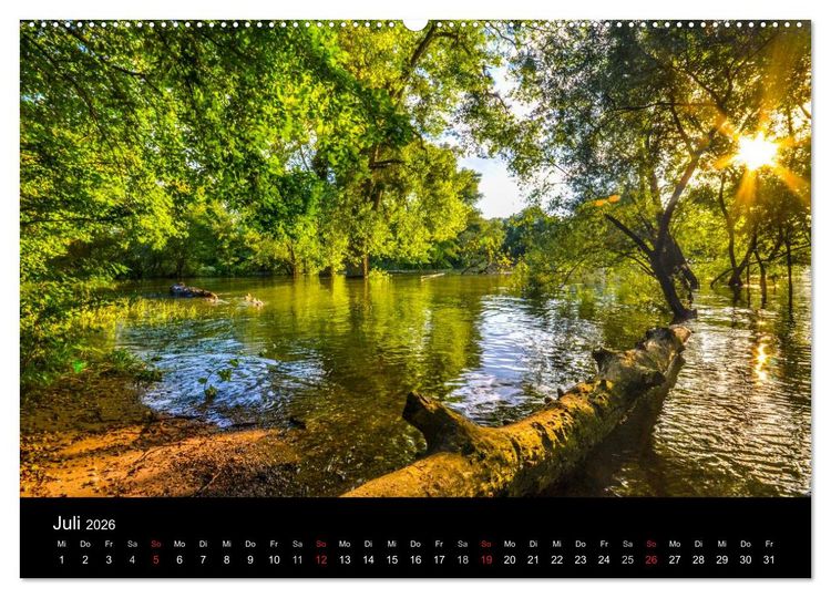 Produktbild: Mannheimer Waldpark (Wandkalender 2026 DIN A2 quer), CALVENDO Monatskalender