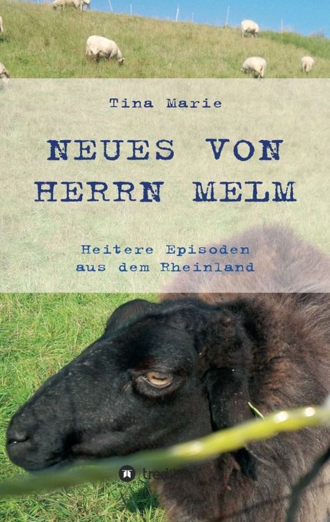 Produktbild: Neues von Herrn Melm