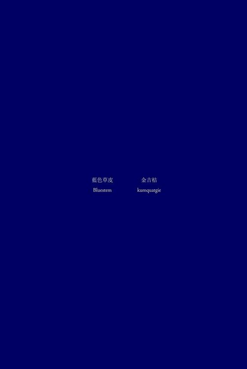 Produktbild: Bluestem