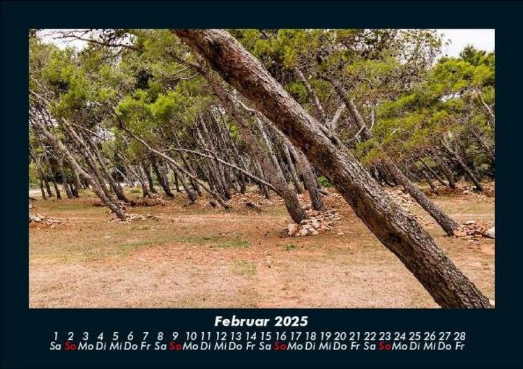 Produktbild: Waldzauber 2025 Fotokalender DIN A5