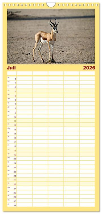 Produktbild: Familienplaner 2026 - Kgalagadi - Fauna und Wildtiere in der Kalahari mit 5 Spalten (Wandkalender, 21 x 45 cm) CALVENDO