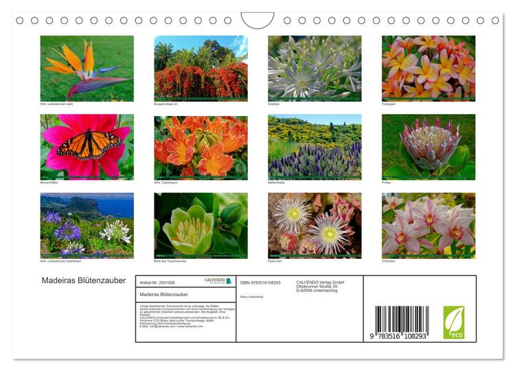 Produktbild: Madeiras Bl&uuml;tenzauber (Wandkalender 2026 DIN A4 quer), CALVENDO Monatskalender