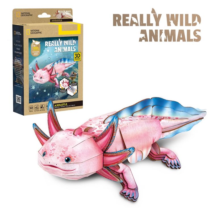 Produktbild: CUBICFUN - 3D Puzzle Axolotl 50 Teile