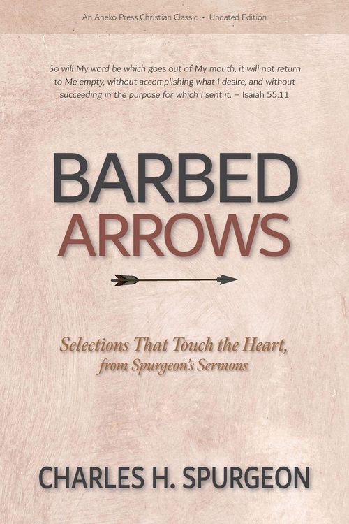 Produktbild: Barbed Arrows