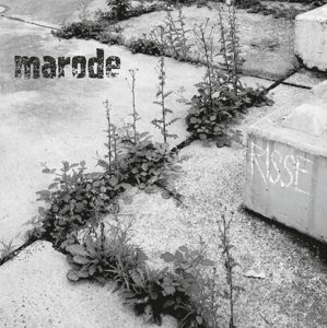 Produktbild: Risse