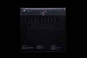 Produktbild: Revanchist