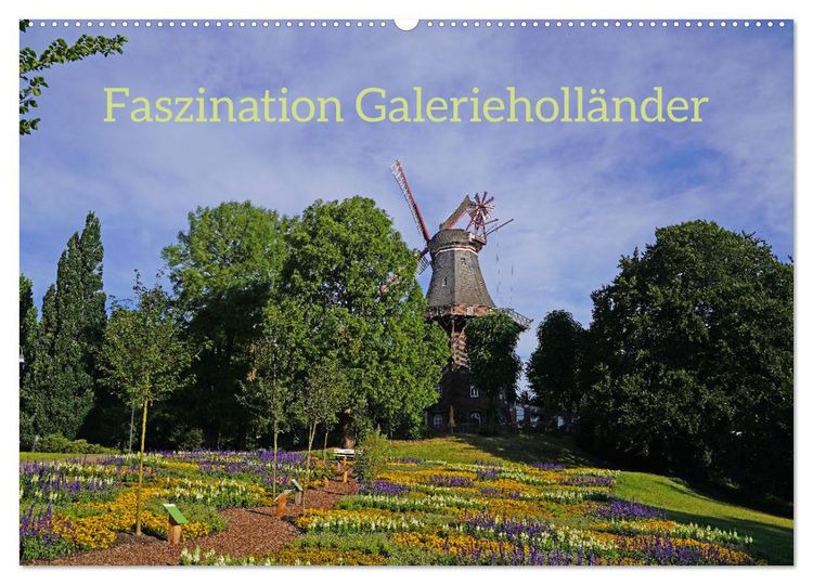 Produktbild: Faszination Galerieholl&auml;nder (Wandkalender 2026 DIN A2 quer), CALVENDO Monatskalender