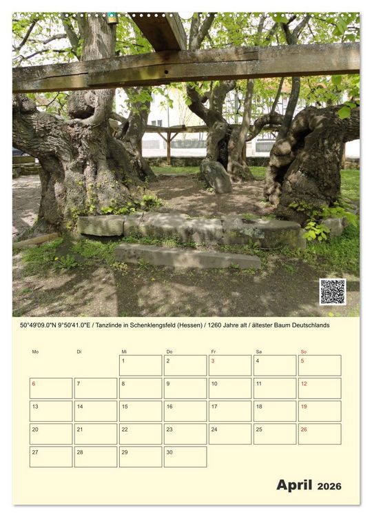 Produktbild: Uralt - Mit QR-Code und GPS zu alten B&auml;umen (Wandkalender 2026 DIN A2 hoch), CALVENDO Monatskalender