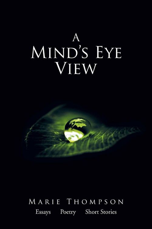 Produktbild: A Mind's Eye View