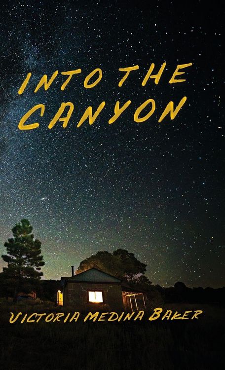 Produktbild: Into the Canyon