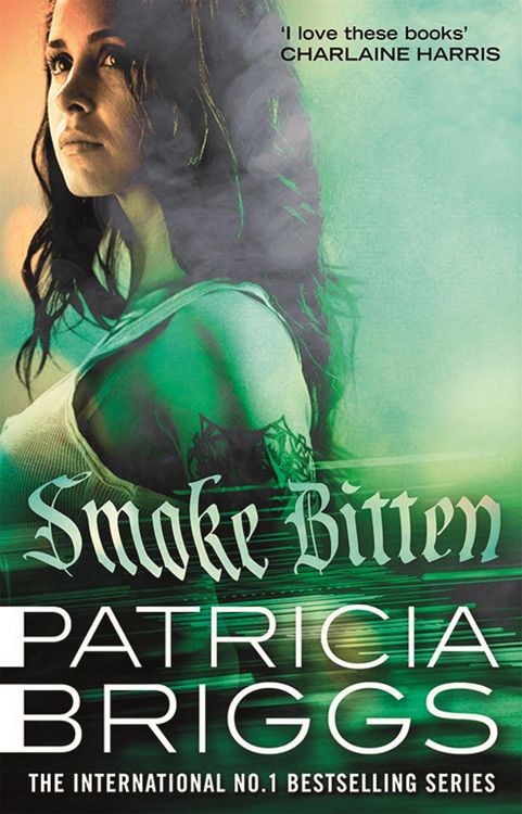 Produktbild: Briggs, P: Smoke Bitten
