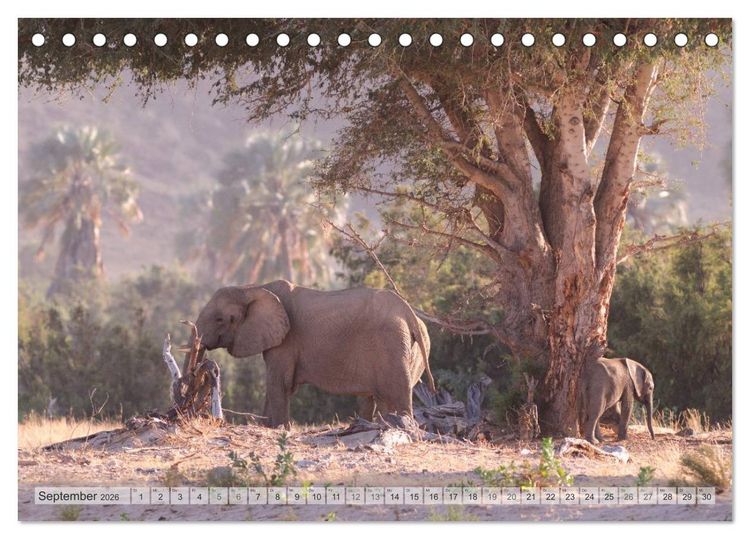 Produktbild: NAMIBIA Christian Heeb (Tischkalender 2026 DIN A5 quer), CALVENDO Monatskalender