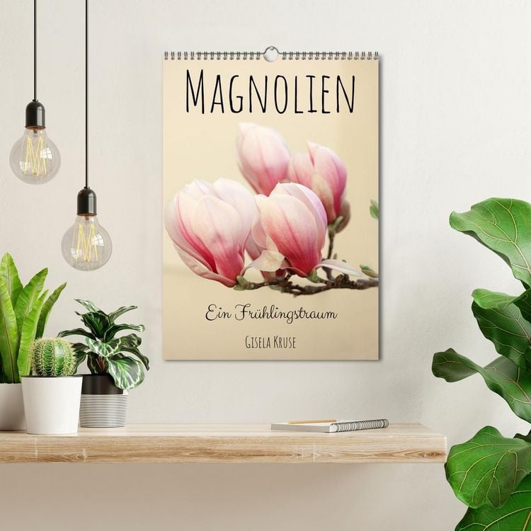 Produktbild: Magnolien Ein Fr&uuml;hlingstraum (Wandkalender 2026 DIN A3 hoch), CALVENDO Monatskalender