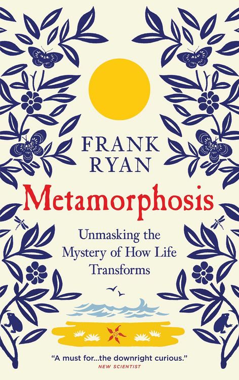 Produktbild: Metamorphosis