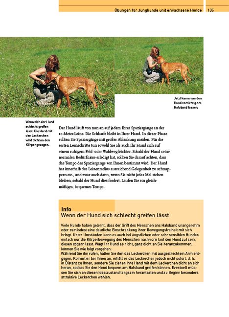 Produktbild: Das Kosmos Erziehungsprogramm f&uuml;r Hunde