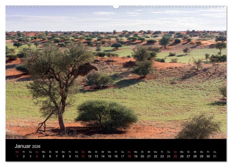Produktbild: Lichterf&uuml;lltes Namibia (Wandkalender 2026 DIN A2 quer), CALVENDO Monatskalender